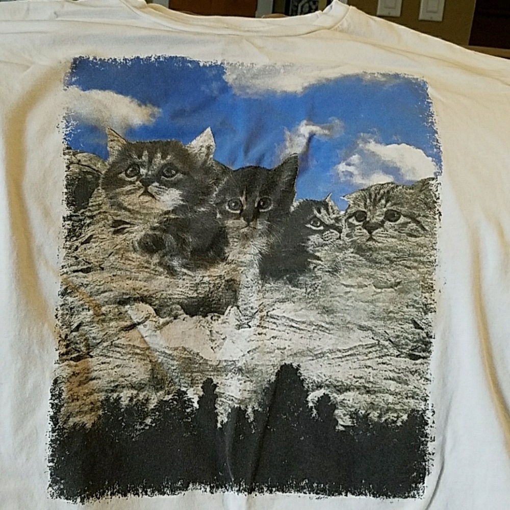 Meownt Rushmore
